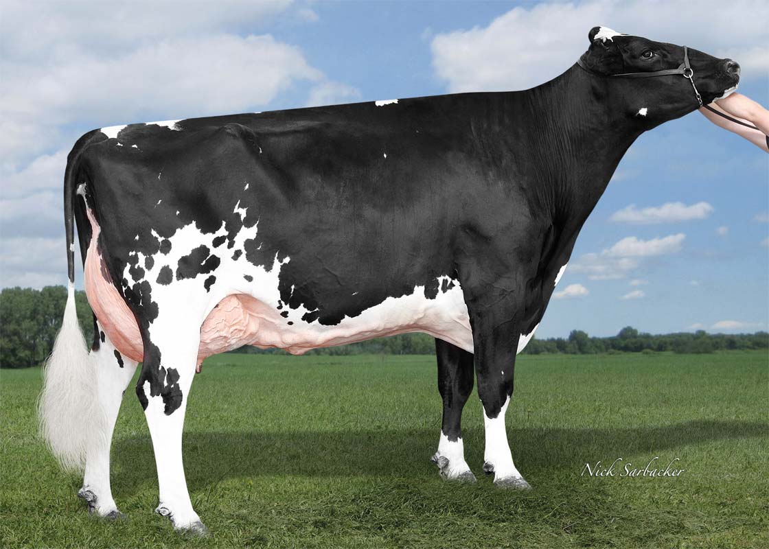 Broadcow: <br />April-Day S Verdejo EX-91