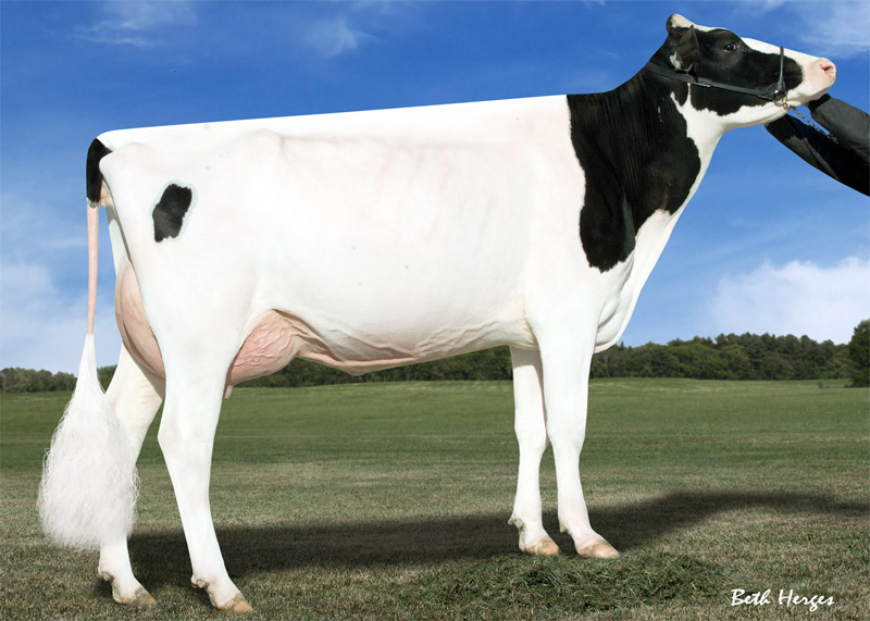 7th dam: <br />Des-Y-Gen Planet Silk EX-90