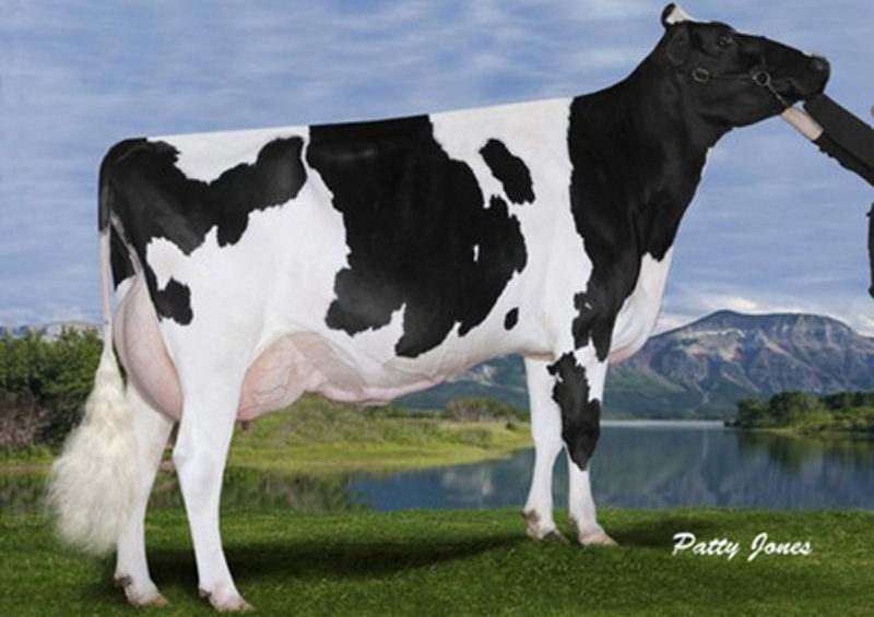 Broadcow: <br />Gen-I-Beq Goldwyn Secret VG-87