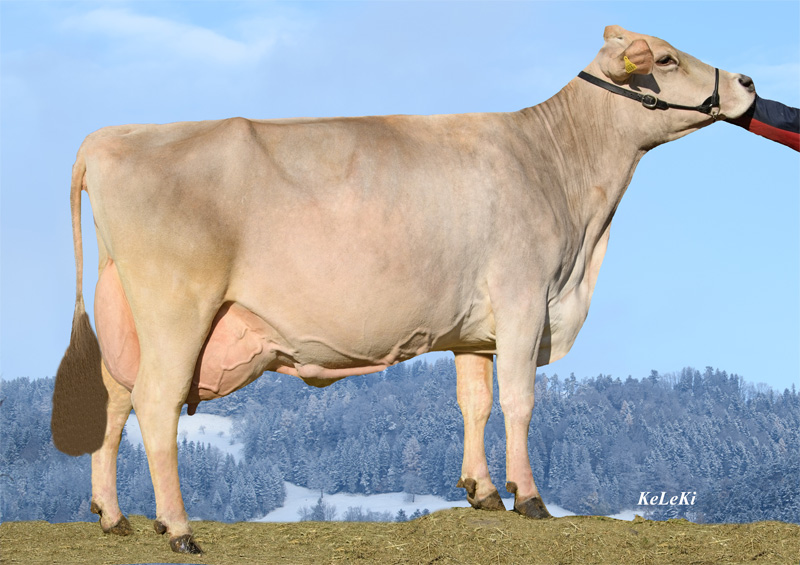 Granddam: <br />Rubiusa EX-91