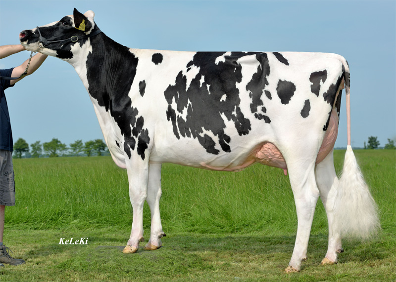 ISS Isabella VG-86