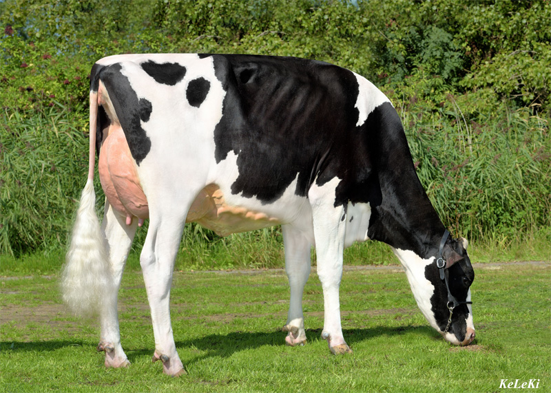 ISS Isie VG-86