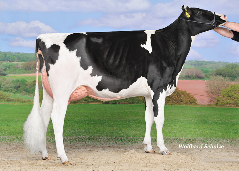 Great VG-86