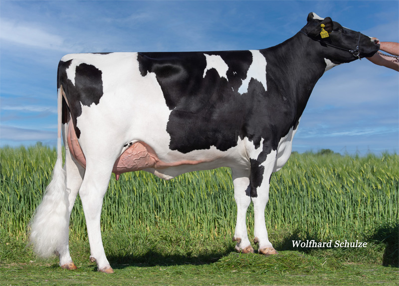 Dam: <br />MOK Brenda VG-85 Dam: <br />MOK Brenda VG-85