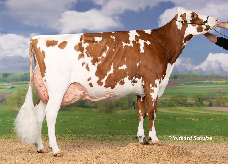Piroschka VG-87 2.La