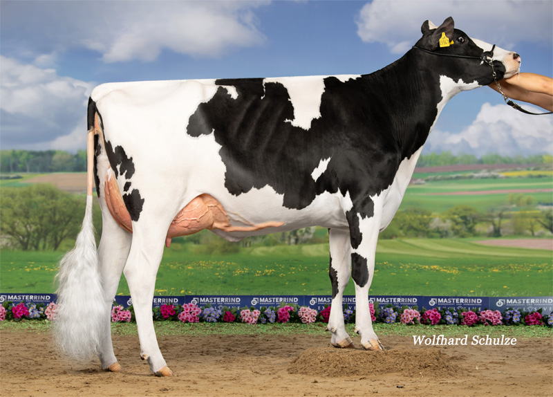 Dam: <br />Instagram VG-85 1.La