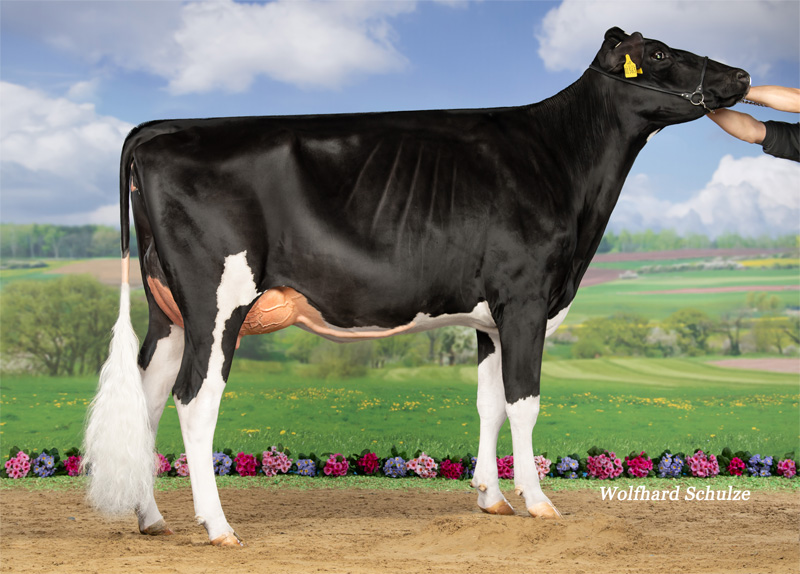 Hanuta VG-85 1.La Hanuta VG-85 1.La