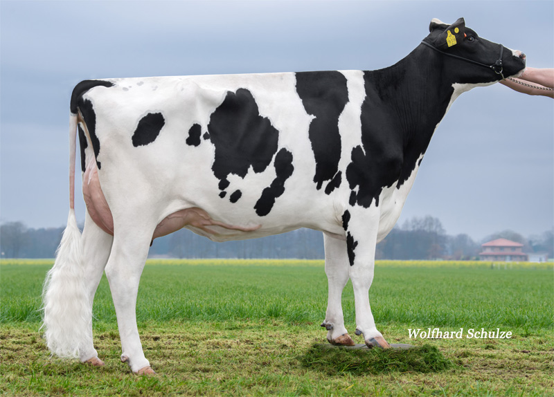 Dam: <br />Geile Zeit GP-82