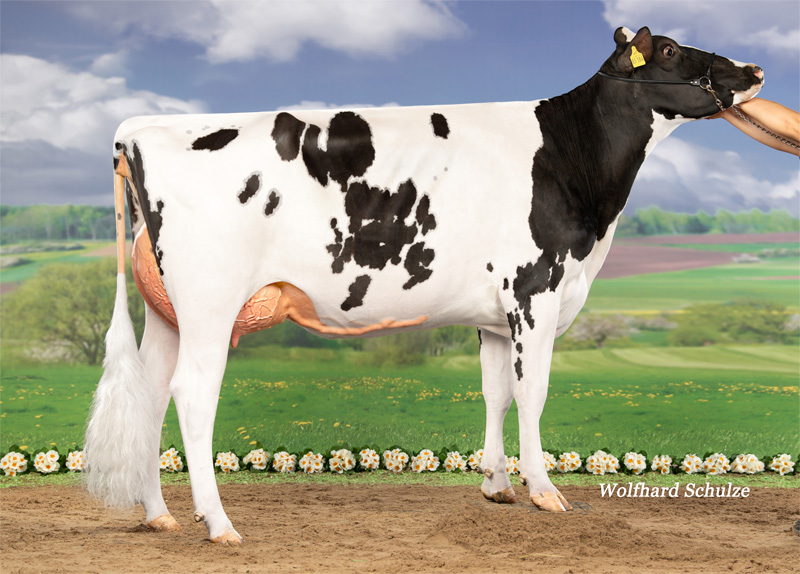 Arienne VG-86 1.La