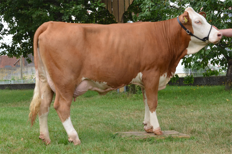 Daughter: <br />Fabienne