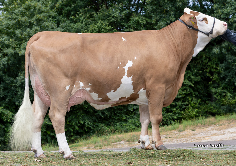 Daughter: <br />Nayla PP