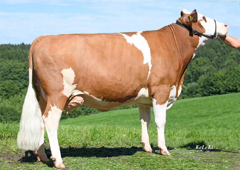 Daughter: <br />Nicki