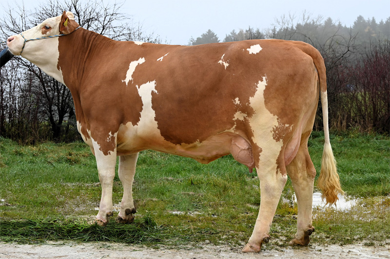 Daughter: <br />Arte Pp