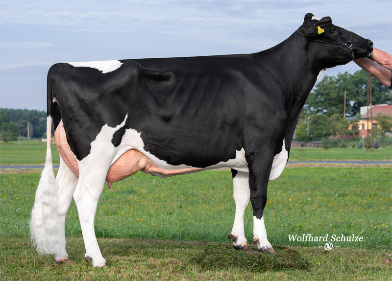 Dam: <br />Manina VG-87