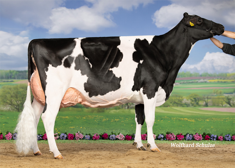Dam: <br />WFD Lena EX-90 3.La Dam: <br />WFD Lena EX-90 3.La