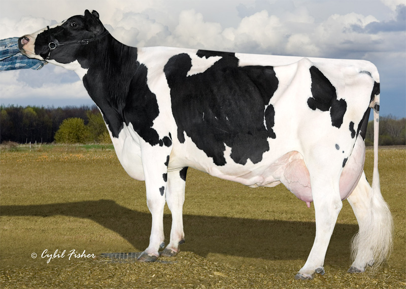 6th dam: <br />Welcome Outside Golden EX-90