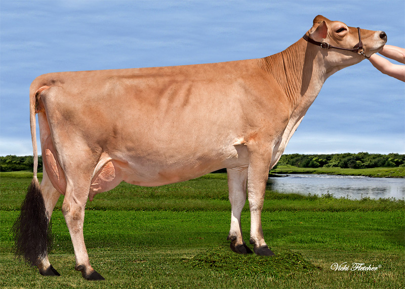 Great Granddam: <br />Sunset Canyon Dimension Maid VG-85