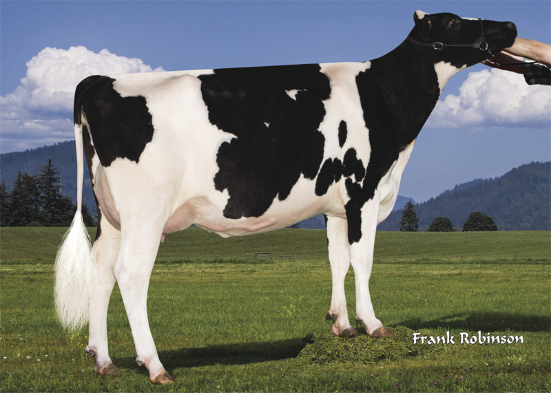 5th dam: <br />Ronelee October Mist EX-91