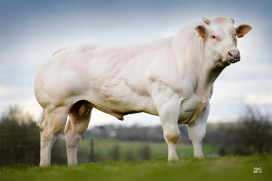 Nadal(10.205088) Fertimax Bild