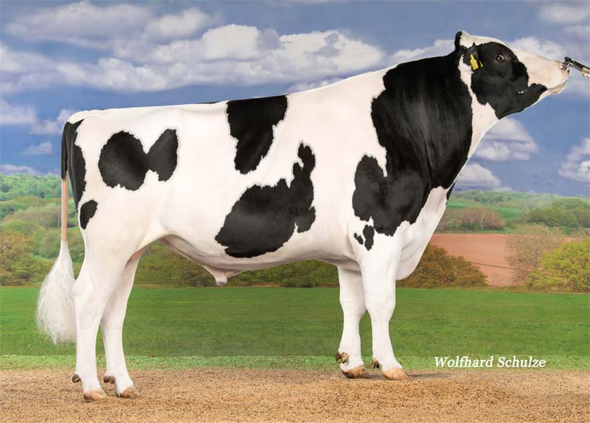 Alster(10.833682) Fertimax Bild