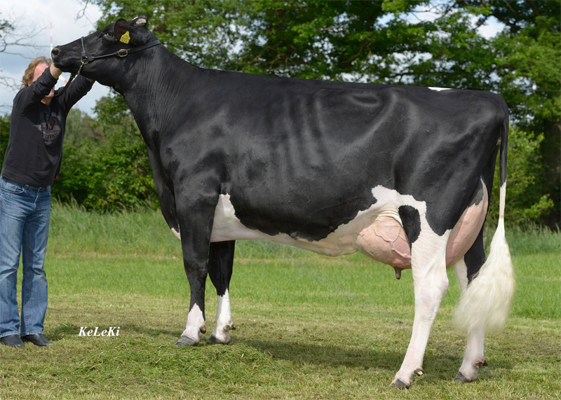 4. M: Own Gold Lucille (1)VG 89