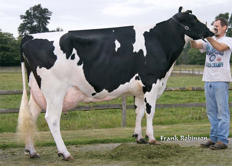 6th dam: <br />Ronelee Outside Dabble EX-91